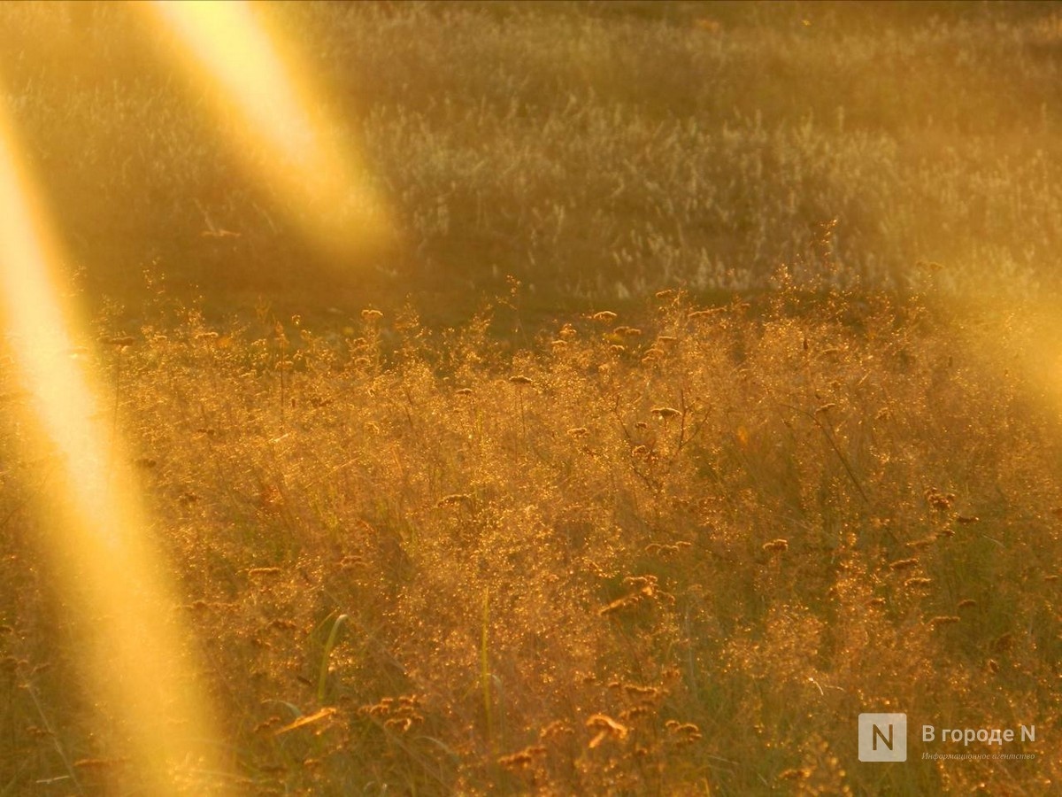 Нижегородцам рассказали, когда вернется 26-градусная жара - фото 1
