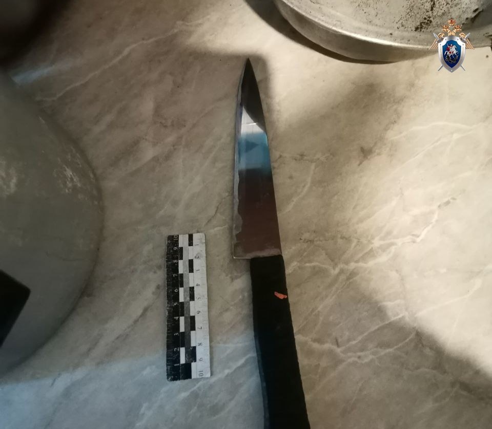 Нижегородец зарезал сожителя матери ножом из-за ссоры - фото 1